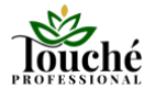 LOGO TOUCHE 230x130